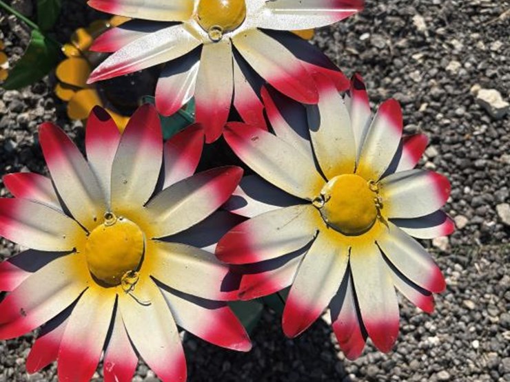 #78-•-metal-art--short-cactus-w/-flowers-image-2