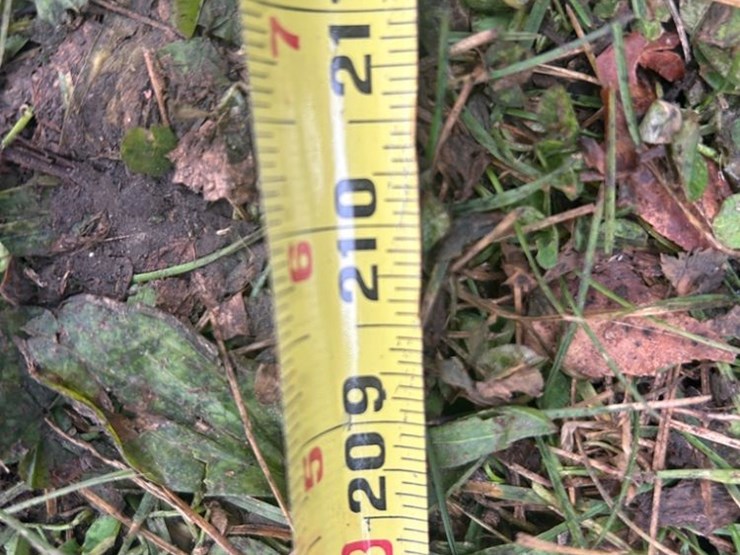 1999-peterbilt-379-image-61