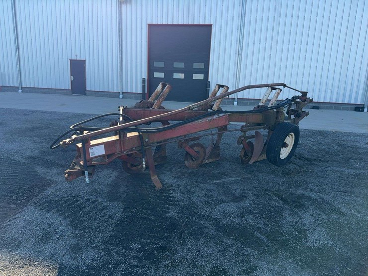 international-3-image-1