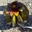 #88-•-metal-art--small-cactus-w/-flower-image-1