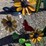 #74-•-metal-art--sunflower-&-cardinal-image-1