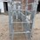 cattle-chute-w/-palpation-cage-image-12