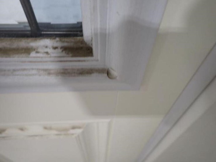 canyon-clay-front-door-w/side-glass-panes-&-frame-image-13