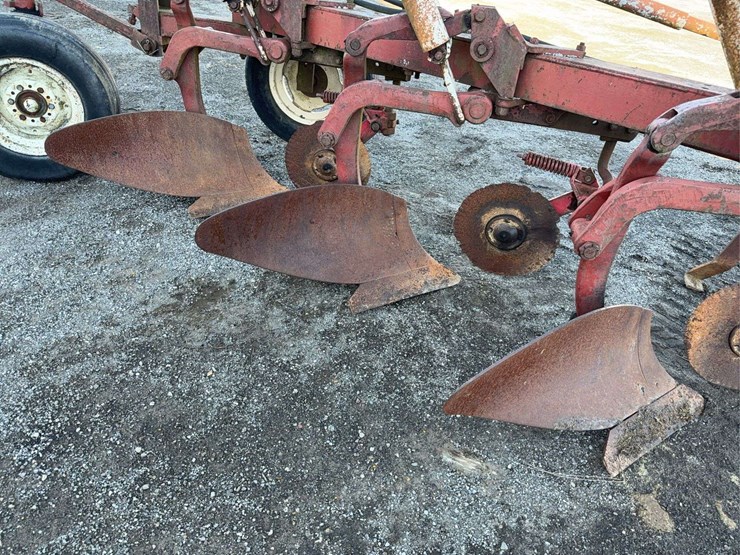 international-3-image-10