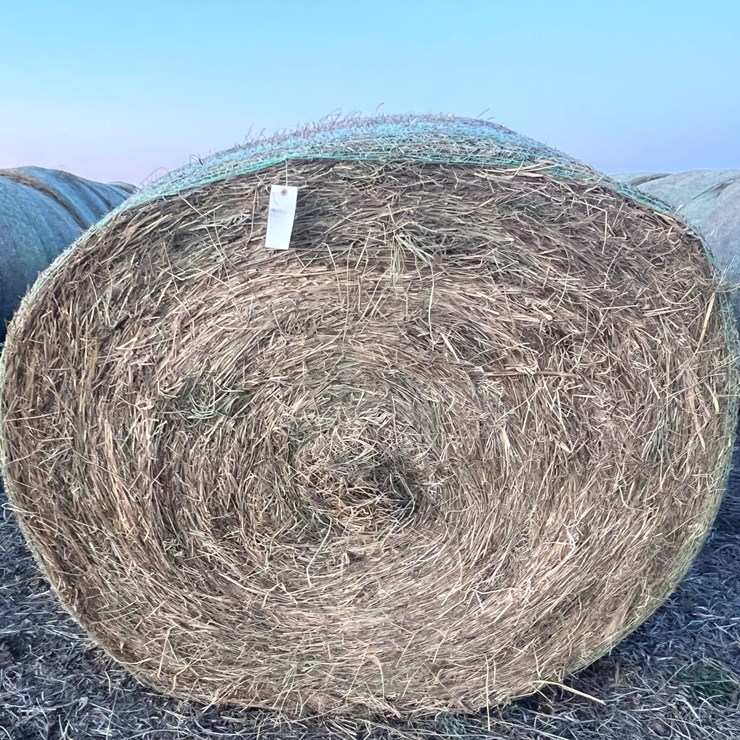 #1036 • Grass Hay Qty 10