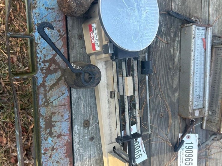 scales,-pea-&-balance-beam-scales-image-1