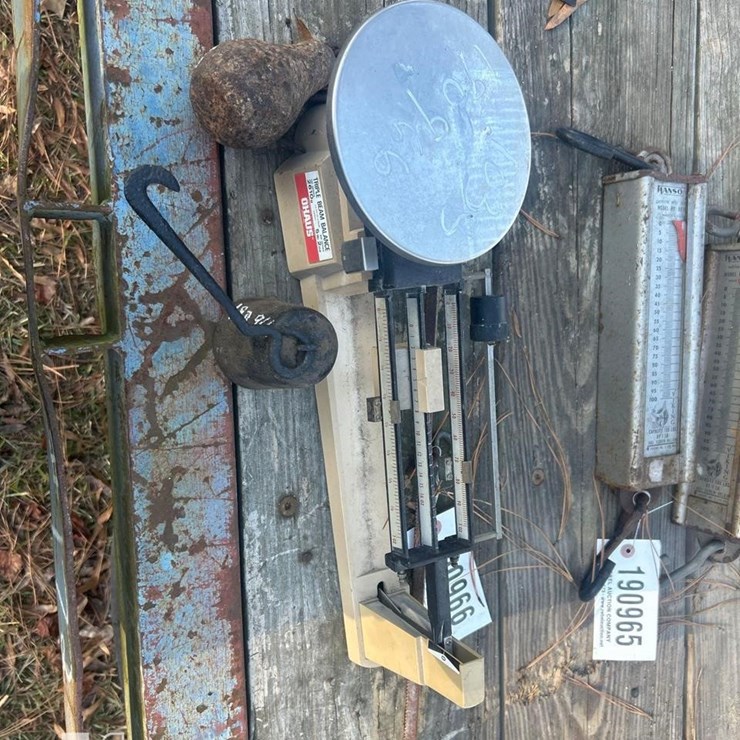 SCALES, PEA & BALANCE BEAM SCALES