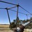 bush-hog/stanhoist-auger-image-19