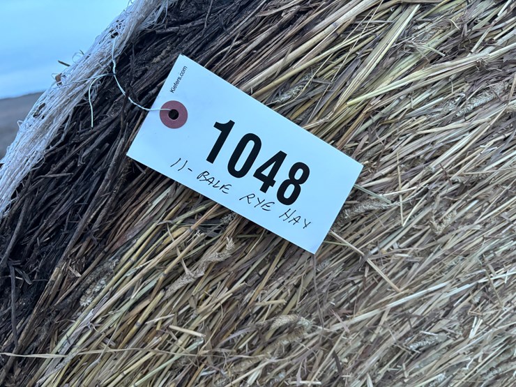 #1048-•-rye-hay-qty.11-image-1