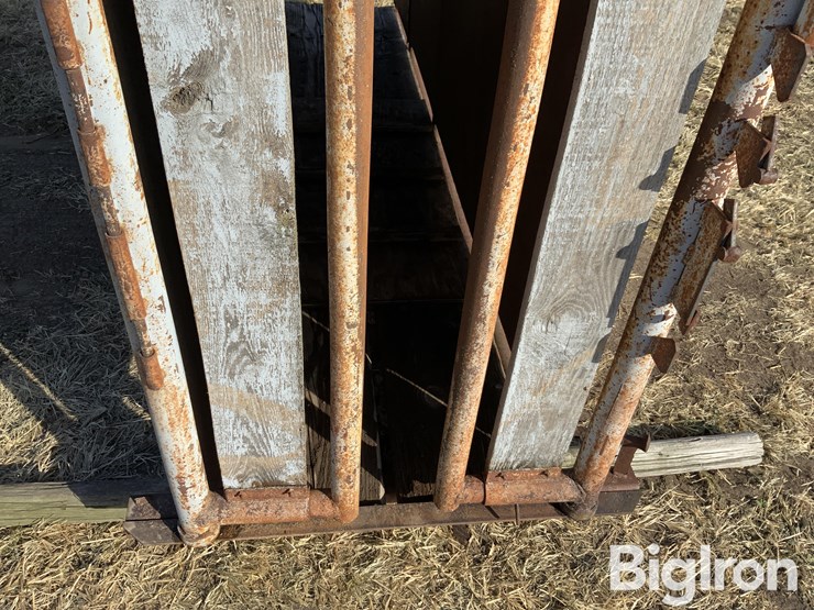 pearson-ai-breeding-chute-image-10