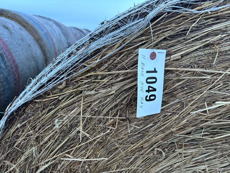 #1049-•-rye-hay-qty.-11-image-1