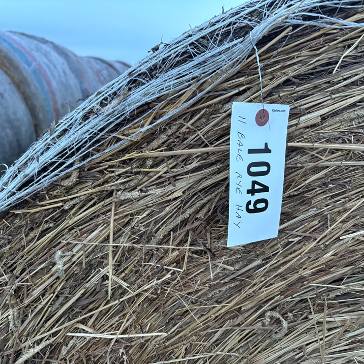#1049 • Rye Hay Qty. 11
