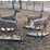 cement-deer-image-1