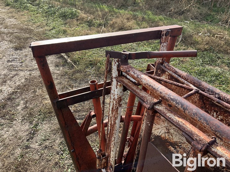 calf-cradle-image-14