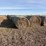40-round-native-hay-bales-clean/sprayed-image-2