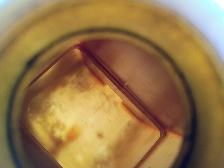 international-4900-image-7