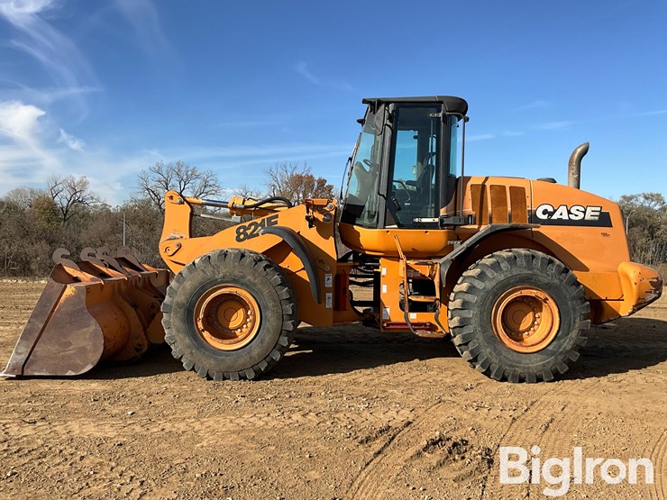 2006-case-821e-image-8