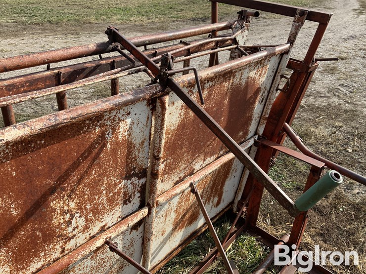 calf-cradle-image-17