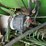 john-deere-7720-titan-ii-image-81