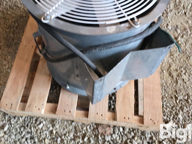 gsi-bin-fan-image-12