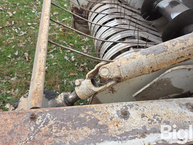 international-46-image-19