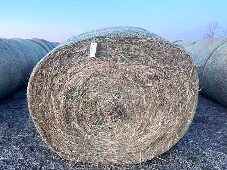 #1034-•-grass-hay-qty-10-image-3