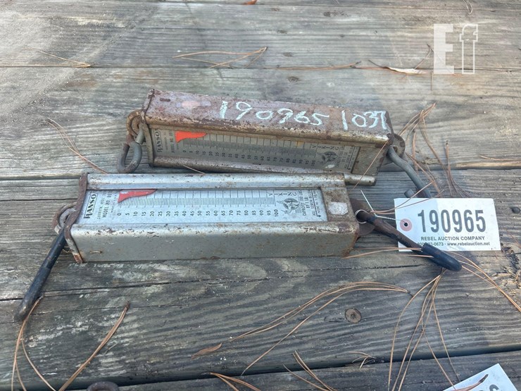 (2)-hanson-100#-draw-scales-image-1