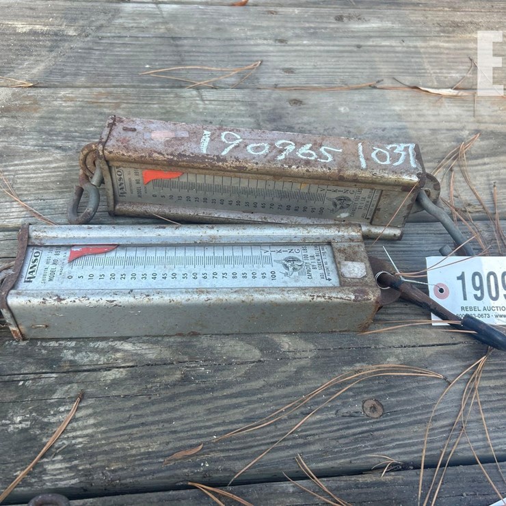 (2) HANSON 100# DRAW SCALES