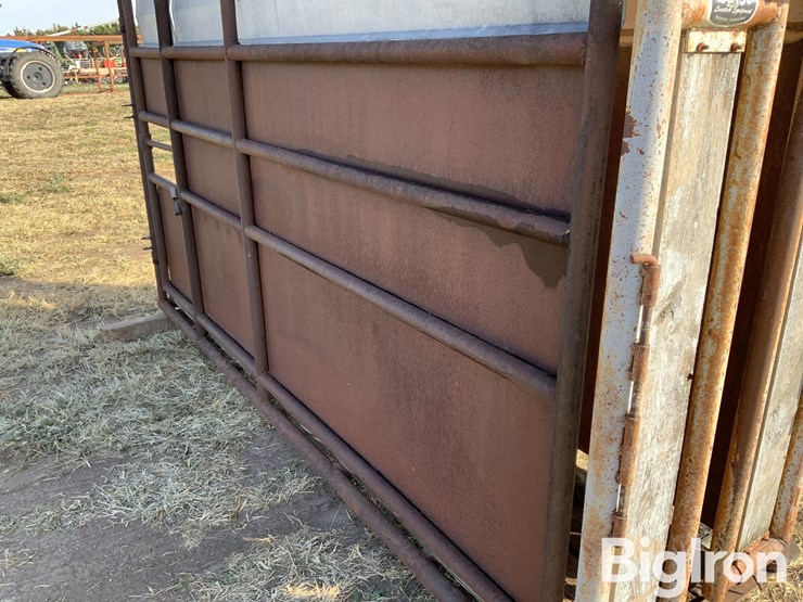 pearson-ai-breeding-chute-image-12