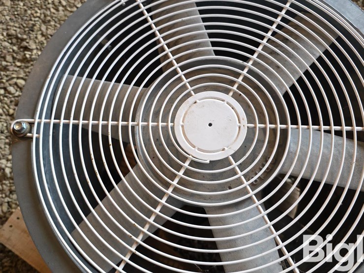 gsi-bin-fan-image-15