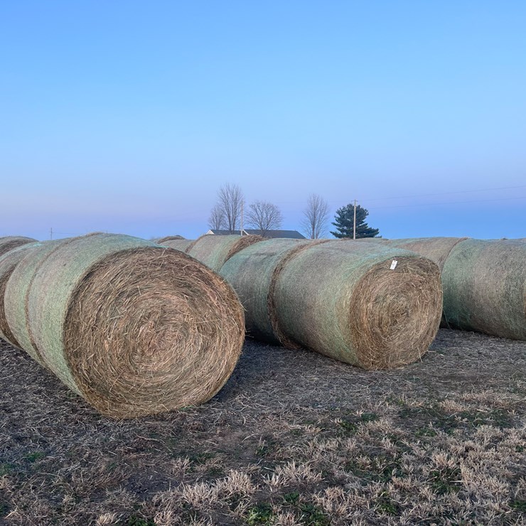 #1031 • Grass Hay Qty 10