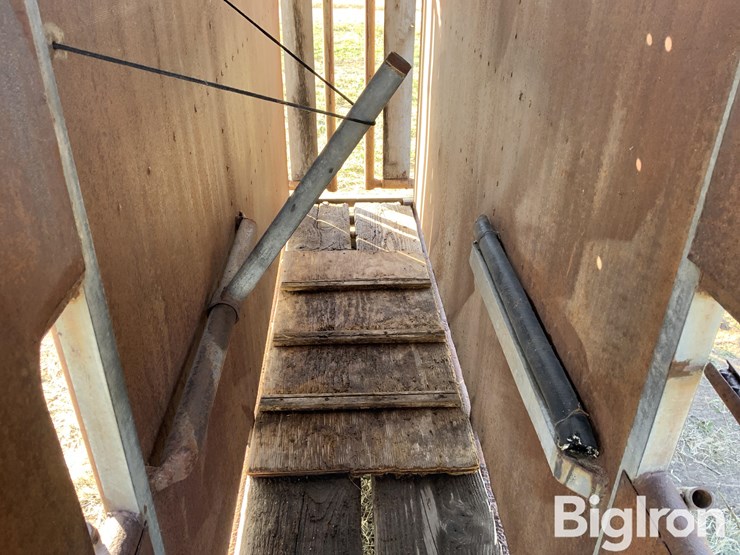 pearson-ai-breeding-chute-image-19