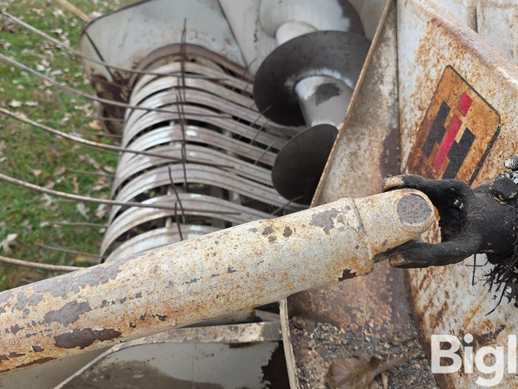 international-46-image-20