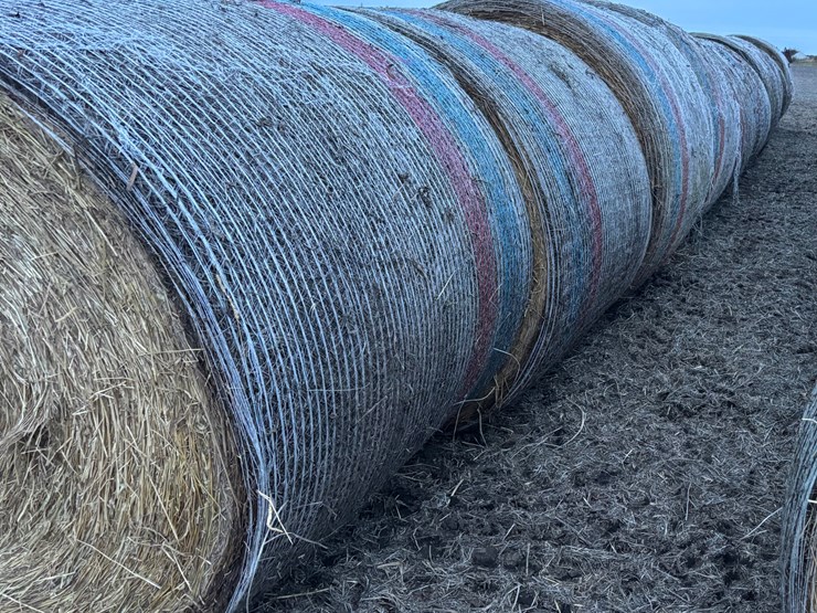 #1048-•-rye-hay-qty.11-image-3