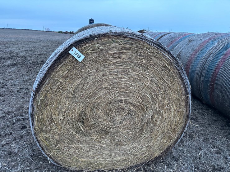 #1048-•-rye-hay-qty.11-image-2