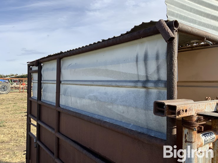 pearson-ai-breeding-chute-image-15