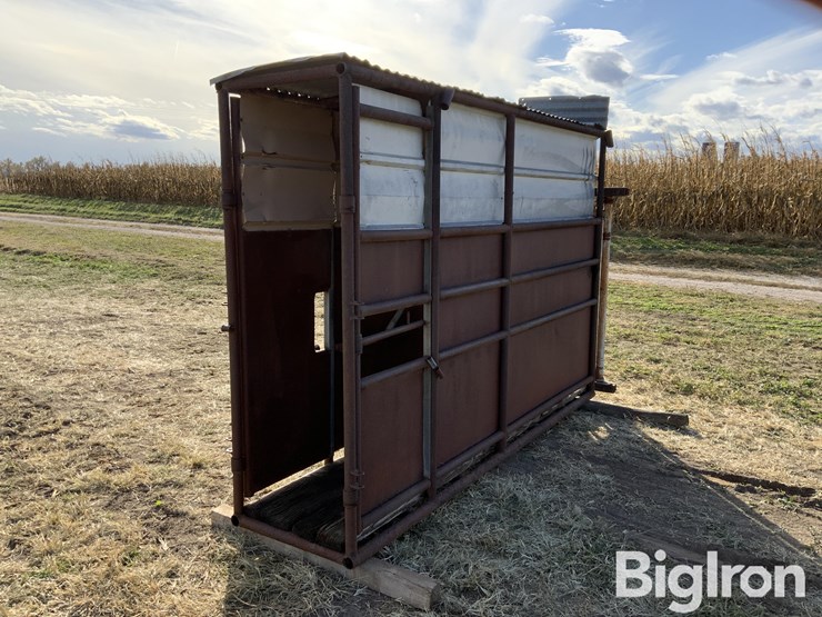 pearson-ai-breeding-chute-image-5