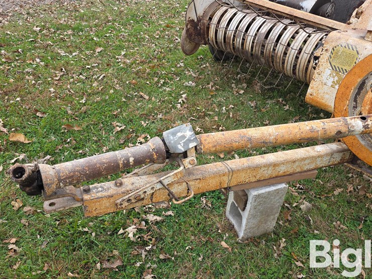 international-46-image-11