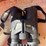 nikon-pro-staff-3s-10x42-binoculars-7-degrees-image-2