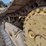 caterpillar-d6n-xl-image-24