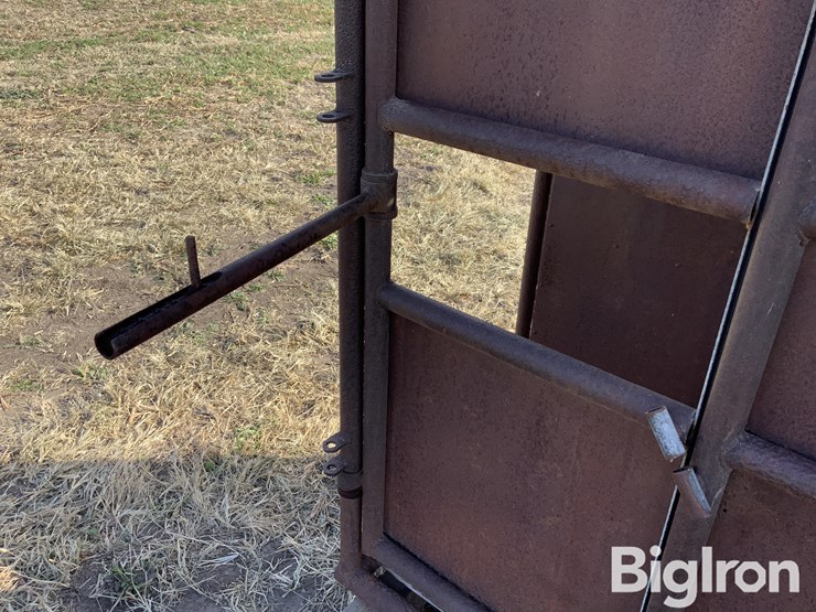 pearson-ai-breeding-chute-image-17