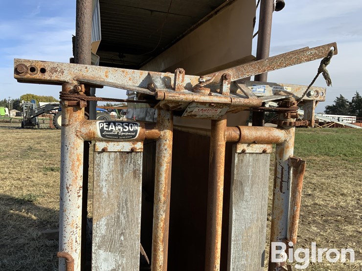 pearson-ai-breeding-chute-image-11