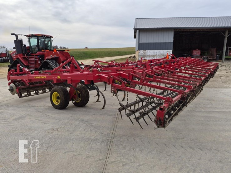 sunflower-6433-40-image-16