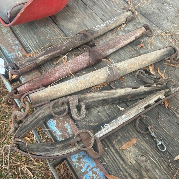 SINGLES TREES & HAYNES