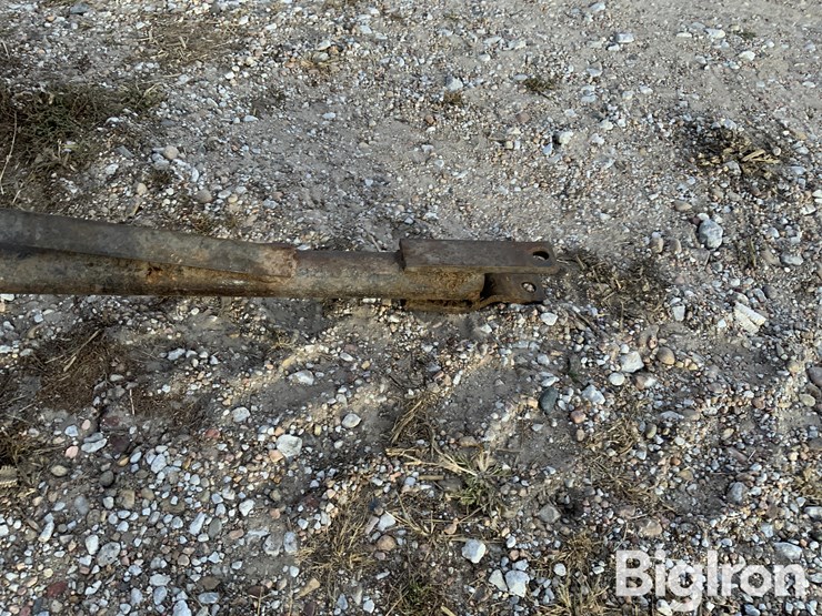 calf-trailer-image-12