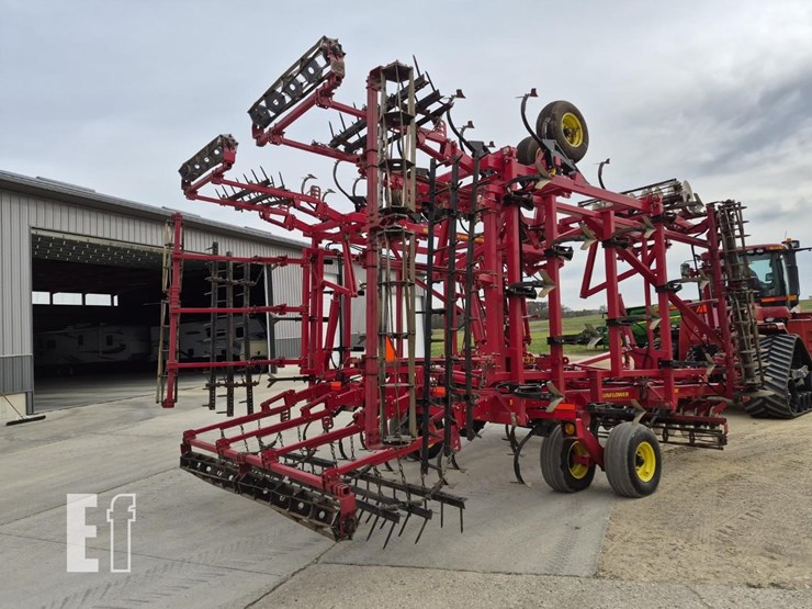 sunflower-6433-40-image-8