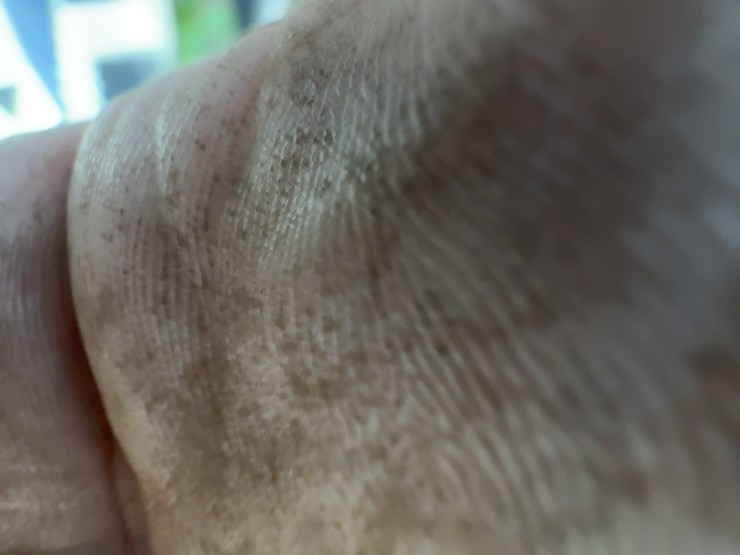 2010-ford-f150-image-7