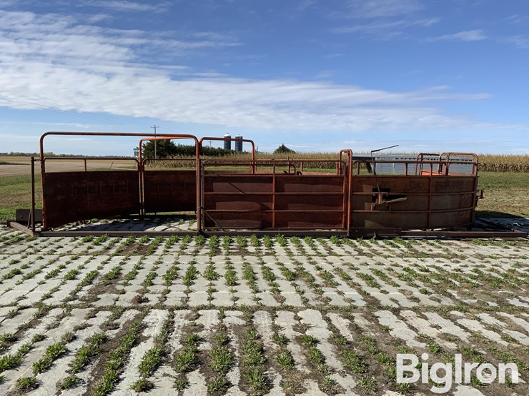 portable-cattle-tub-image-2