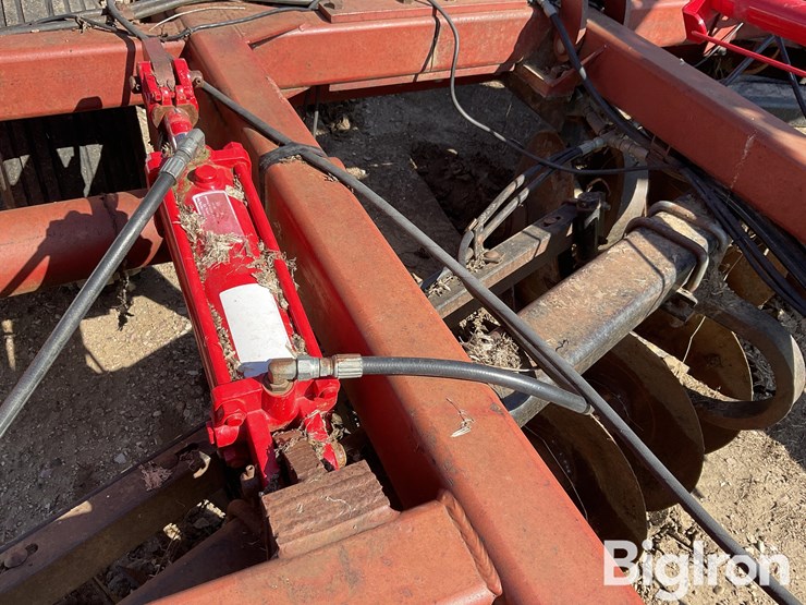 sunflower-1434-36-image-14