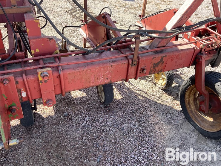 international-16-image-10